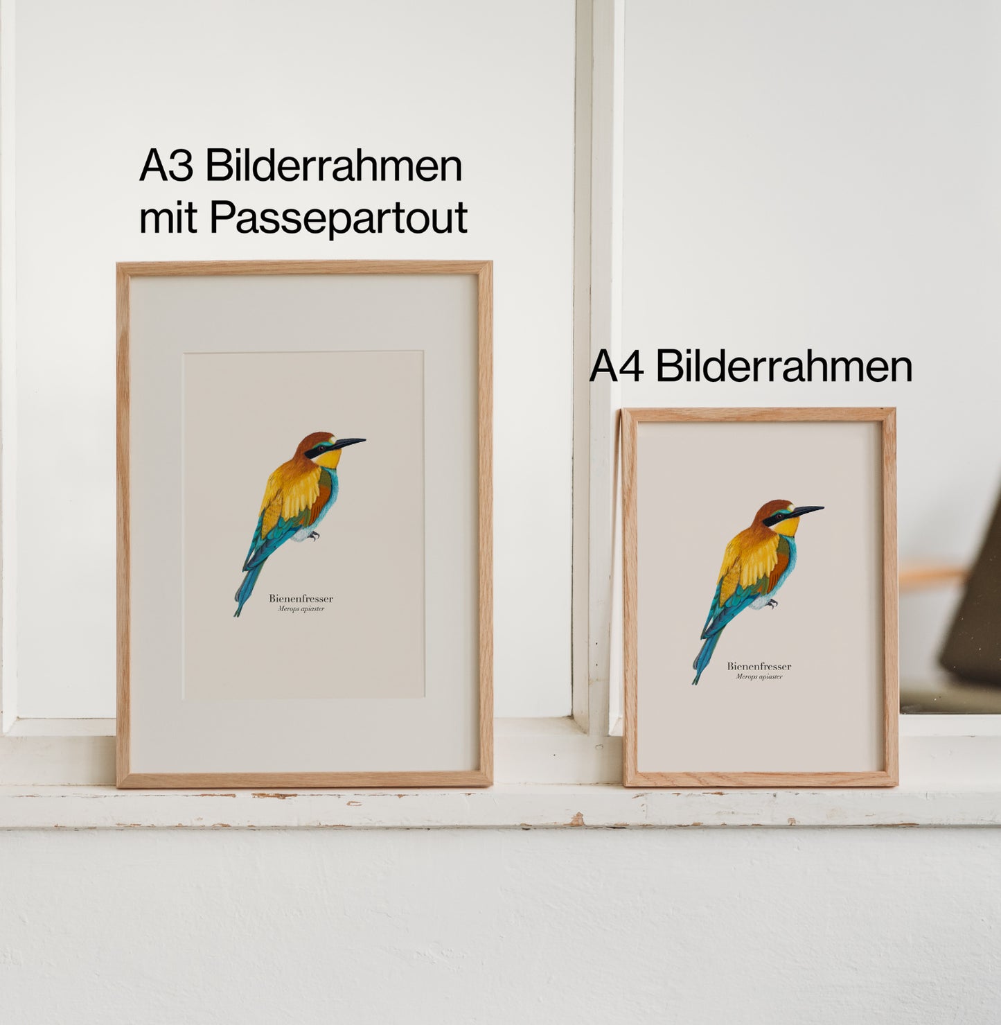 Vergleich A4 und A3 Bilderrahmen mit Bienenfresser Poster