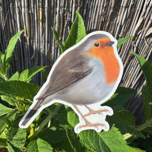 Sticker Set Heimische Vögel – Naturmotive als Aufkleber für Laptop, Handy & mehr