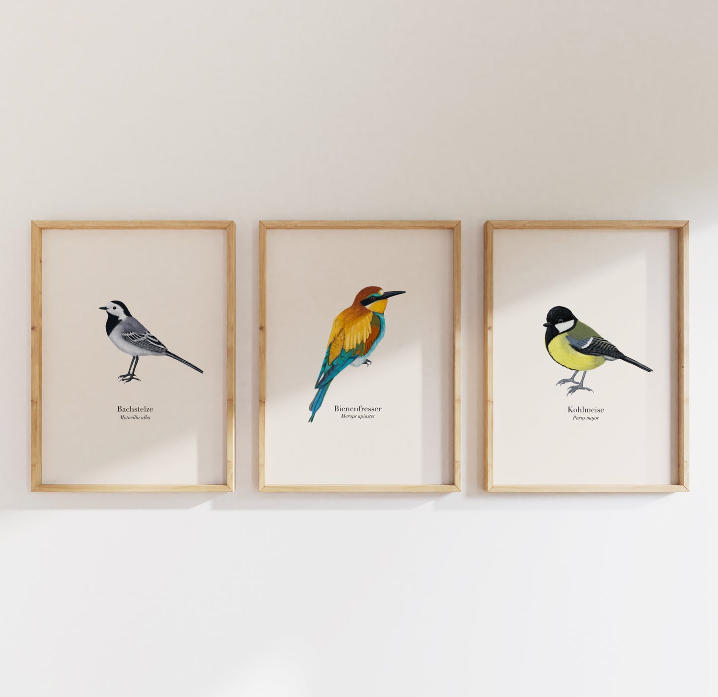 3er Poster Set heimische Vögel – Natur Poster mit Auswahl aus 22 Arten, personalisierbar & optional gerahmt