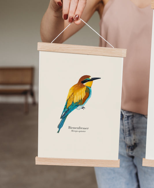 Poster Vögel mit Bienenfresser Zeichnung