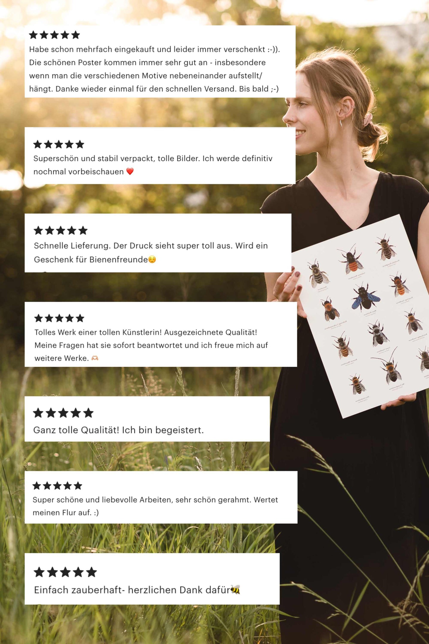 Natur Poster Bienen – 12 Bienen Zeichnungen zum Wildbienen bestimmen