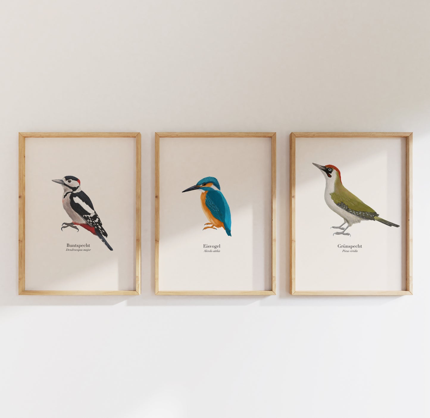 3er Poster Set heimische Vögel – Natur Poster mit Auswahl aus 22 Arten, personalisierbar & optional gerahmt