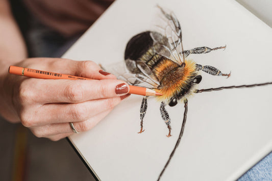 Bienen Zeichnung Skizzenbuch