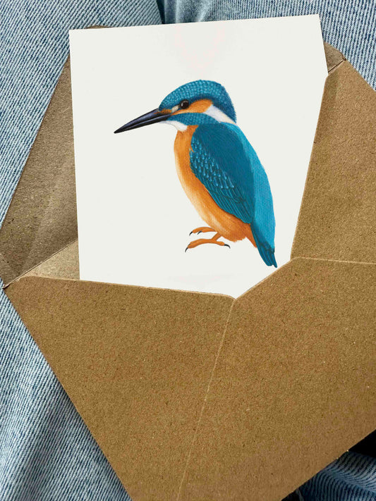 Postkarte mit Eisvogel-Illustration in Kraftpapierumschlag auf Jeansstoff