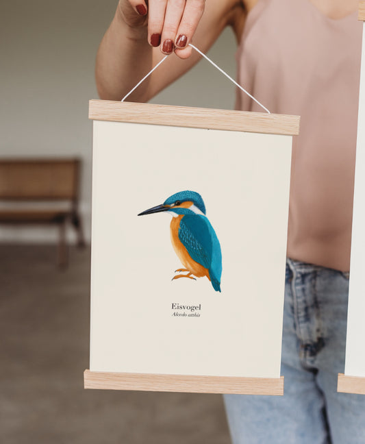 Eisvogel Kunstdruck mit Posterleiste im A4-Format