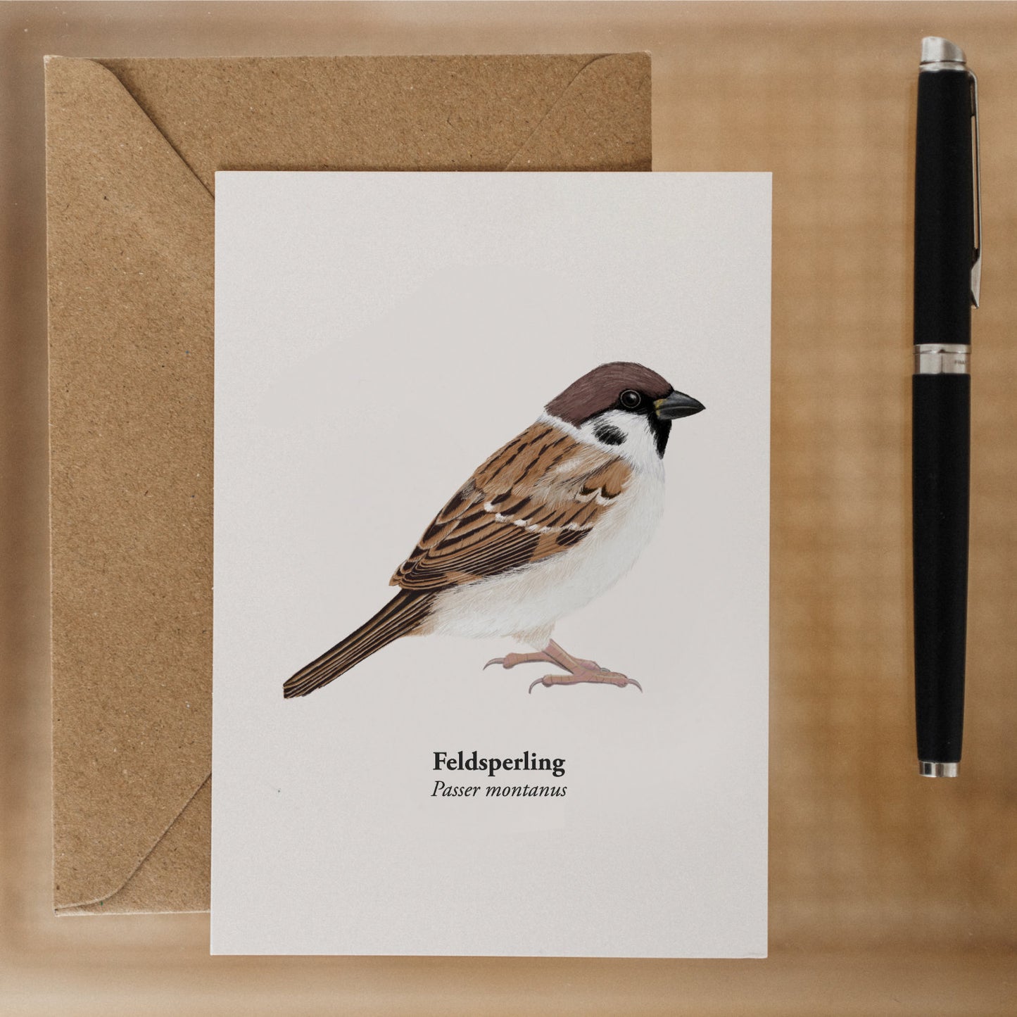Spatz Postkarte – Illustration des Feldsperlings (Passer montanus)
