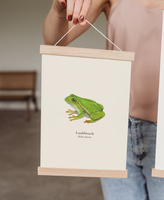 Laubfrosch Poster – handgezeichneter Natur Kunstdruck