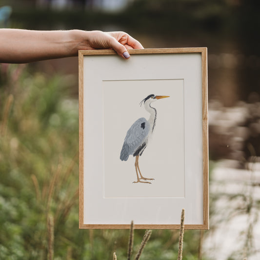 Gerahmter Kunstdruck mit Graureiher Illustration im Naturrahmen, draußen vor Flusskulisse fotografiert