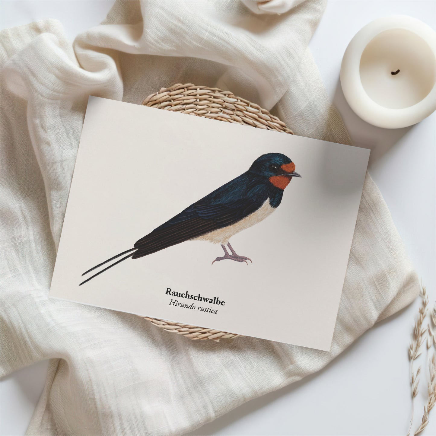 Kunstpostkarte mit Illustration einer Rauchschwalbe (Hirundo rustica) auf hellem Stoff mit Kerze – Naturmotiv als Mini-Kunstdruck