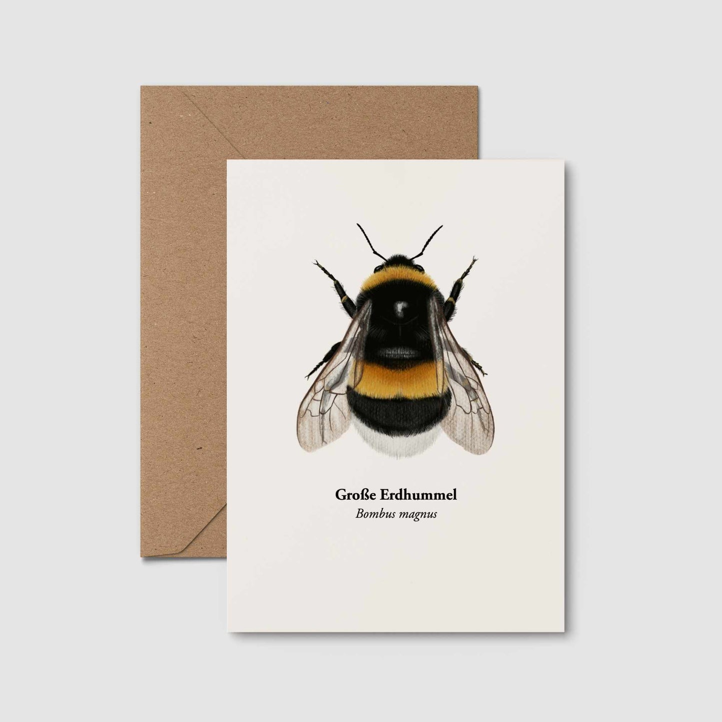 Naturillustration auf Postkarte aus nachhaltigem Papier