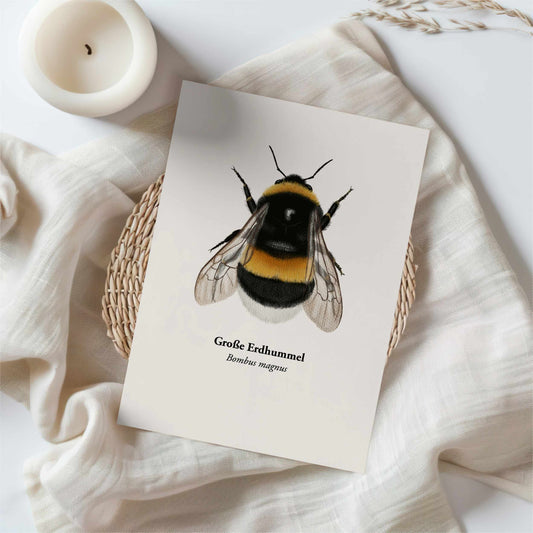 Postkarte mit Tierzeichnung – ideal als Mini Art Print oder Grußkarte