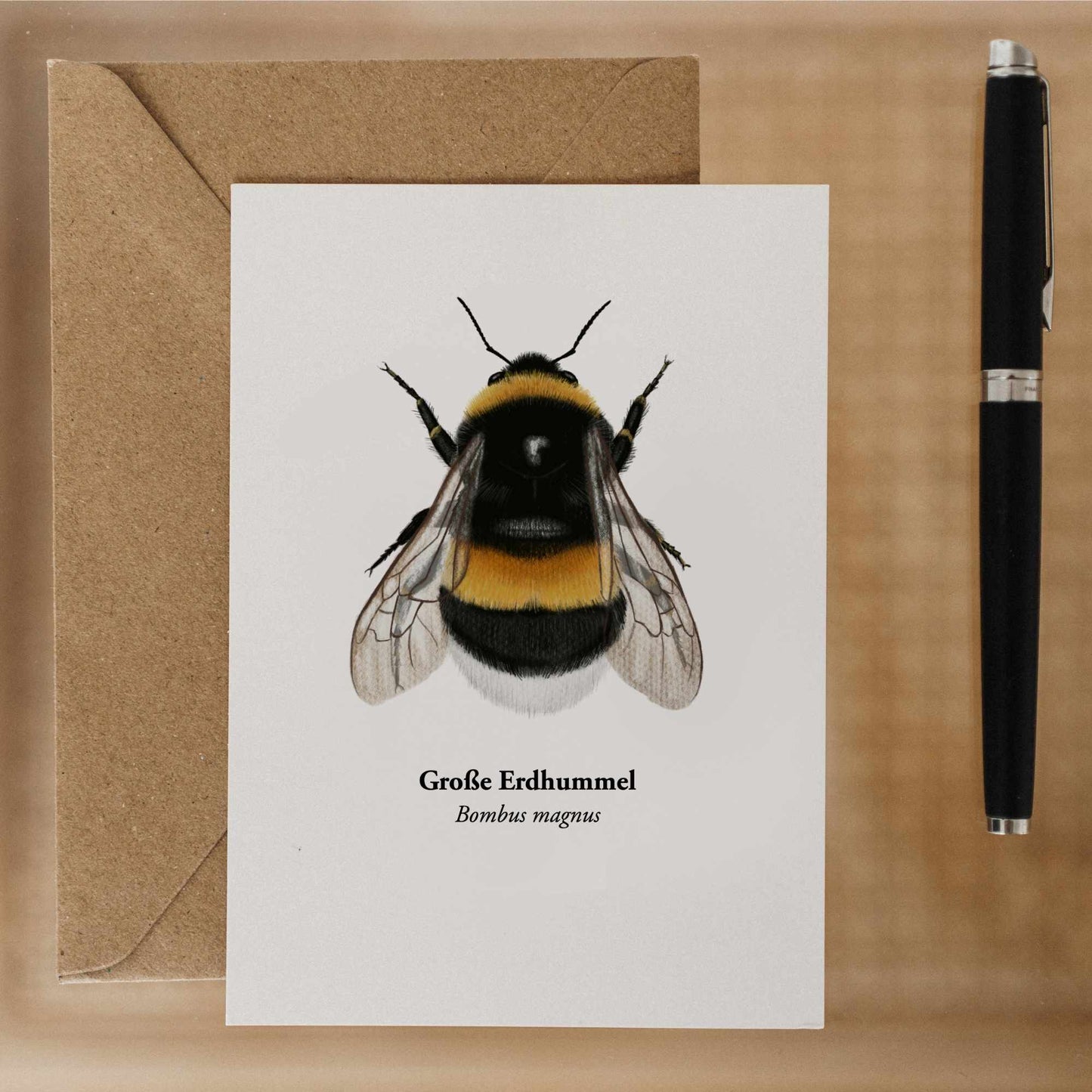 Große Erdhummel Illustration auf matt gedruckter Naturpostkarte