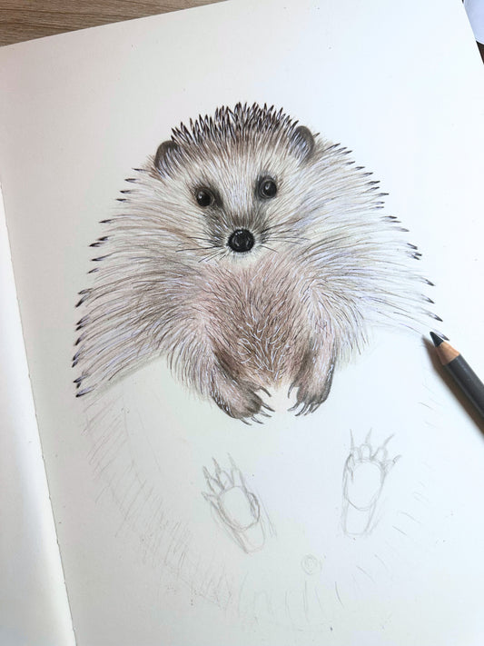 Igel Poster – liebevoll illustrierter Kunstdruck mit Igelzeichnung