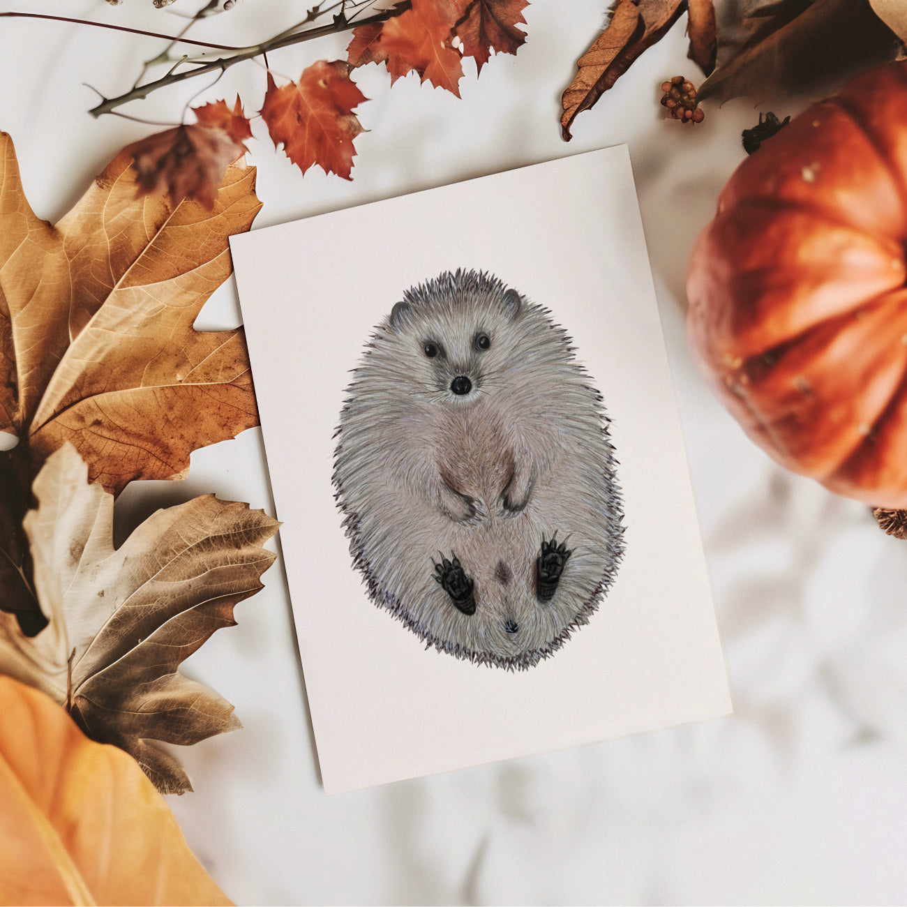 Igel Postkarte – Illustration des niedlichen Igels im A6 Format