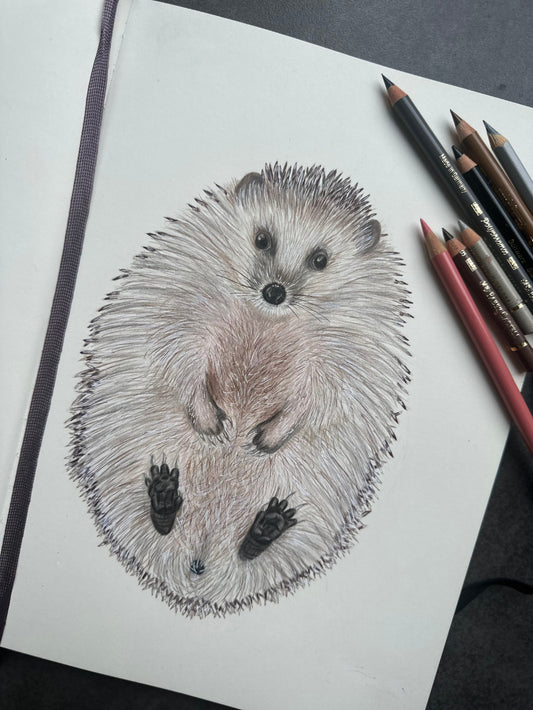 Igel Postkarte – Illustration des niedlichen Igels im A6 Format