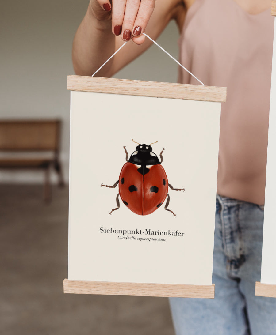 Poster mit Marienkäfer-Illustration in magnetischer Posterleiste aus Eichenholz, gehalten von einer Hand