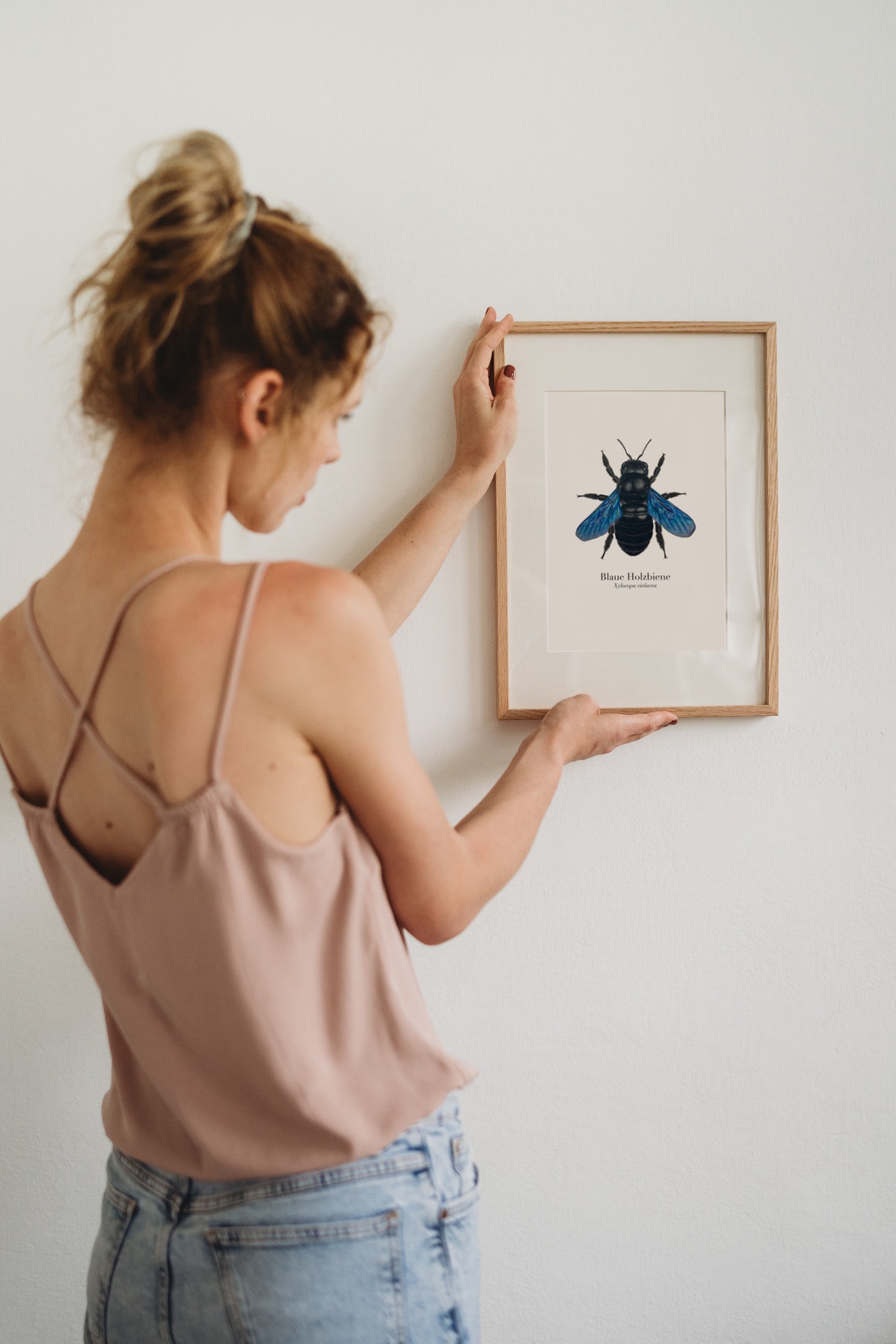 Person hängt Kunstdruck der Blauen Holzbiene im Rahmen an eine weiße Wand