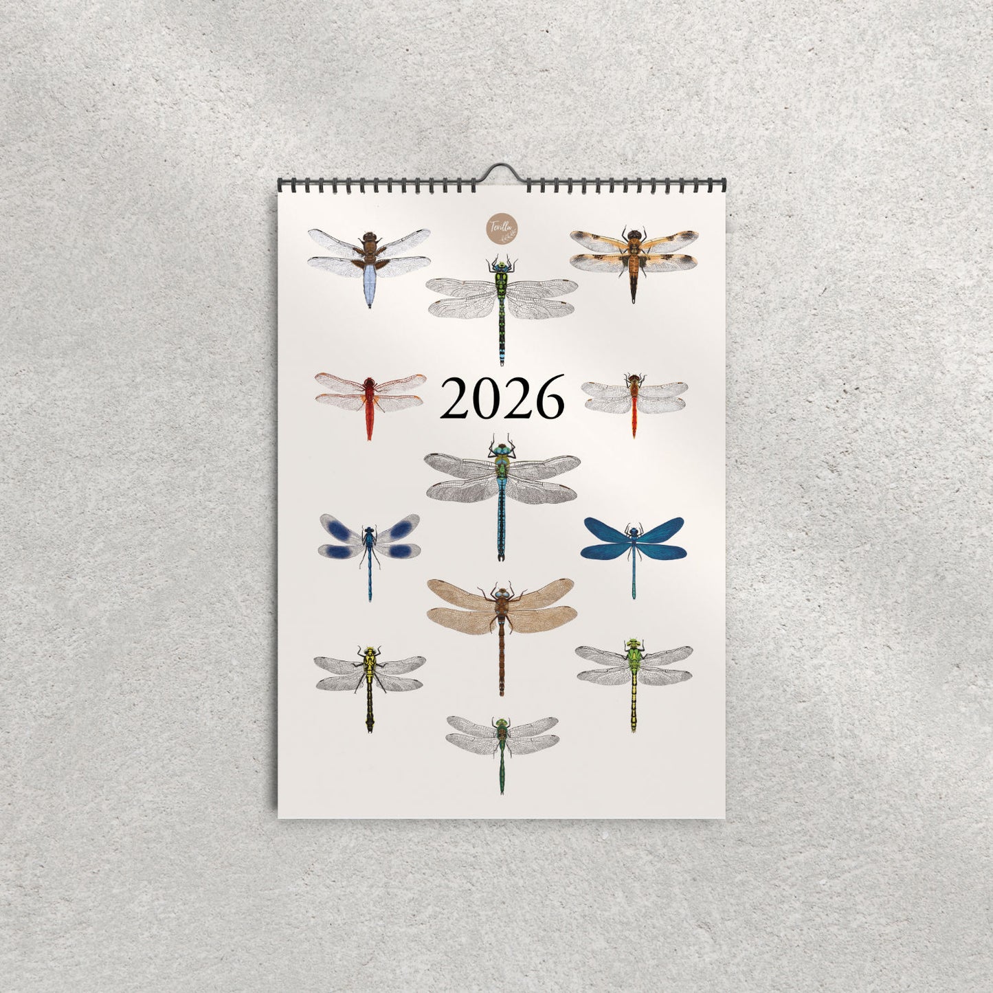 Libellenkalender 2026 – Cover mit 12 heimischen Libellenarten Illustration