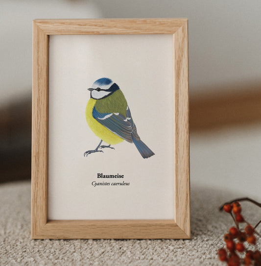 Mini Print Vogel Zeichnung