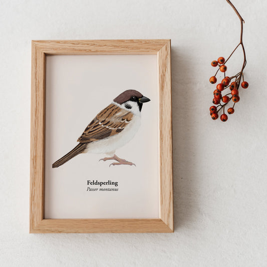 Mini Kunstdruck mit Vogel illustration