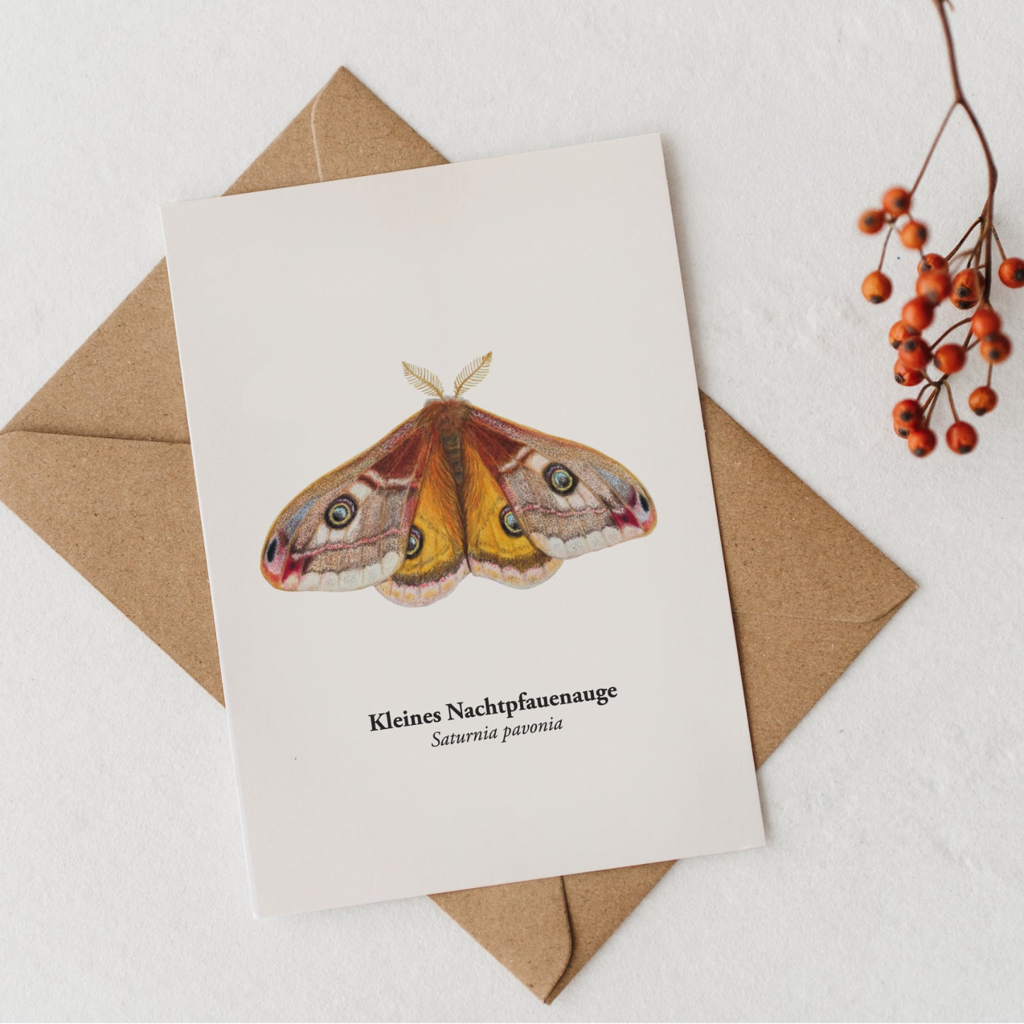 Nachtfalter Postkarte mit Kraftpapierumschlag
