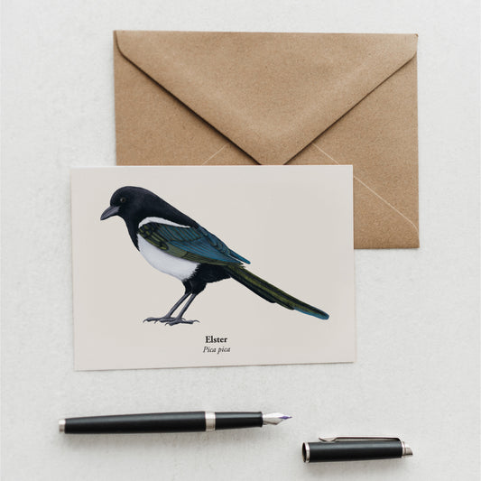Kunstpostkarte mit Illustration der Elster (Pica pica)