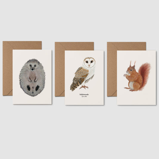 3er Natur Postkarten Set mit heimischen Waldtieren – Igel, Schleiereule und Eichhörnchen, handgezeichnet auf cremefarbenem Papier