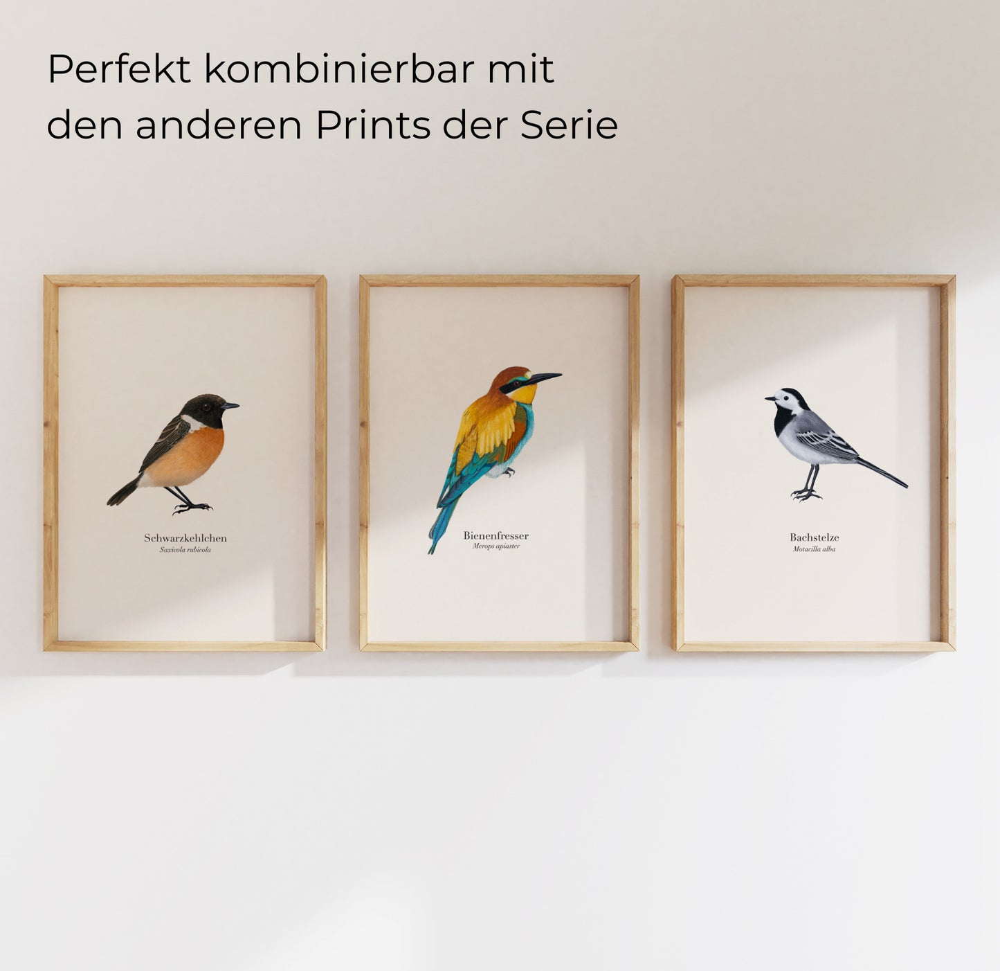 Poster Set mit Bienenfresser Illustration im Holzrahmen