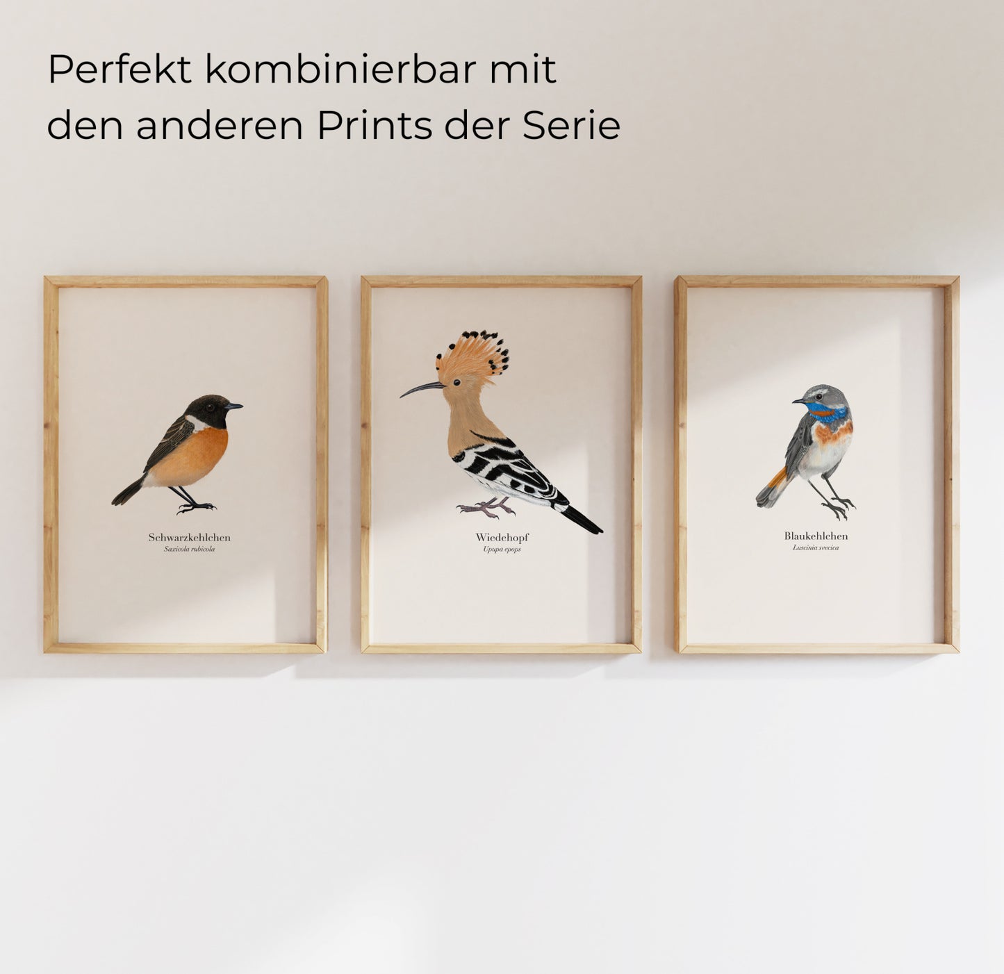 Wiedehopf Poster kombiniert mit anderen Vogel-Prints