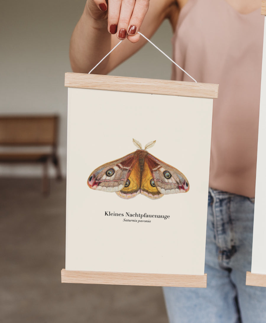 A4 Poster mit Kleinem Nachtpfauenauge in naturfarbener Posterleiste aus Holz, wird von Frau präsentiert