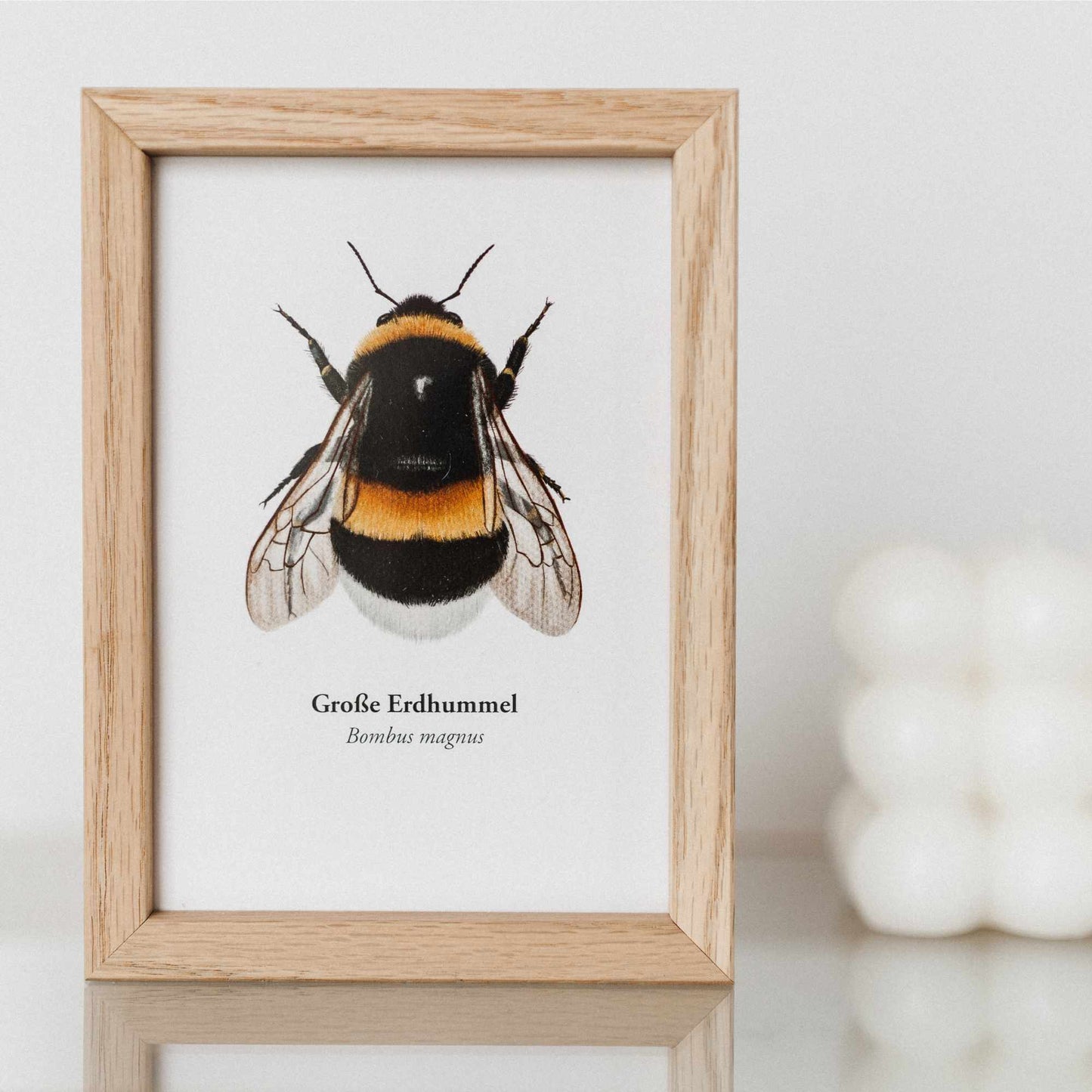 Minimalistische Postkarte mit Naturmotiv und optionalem Holzrahmen