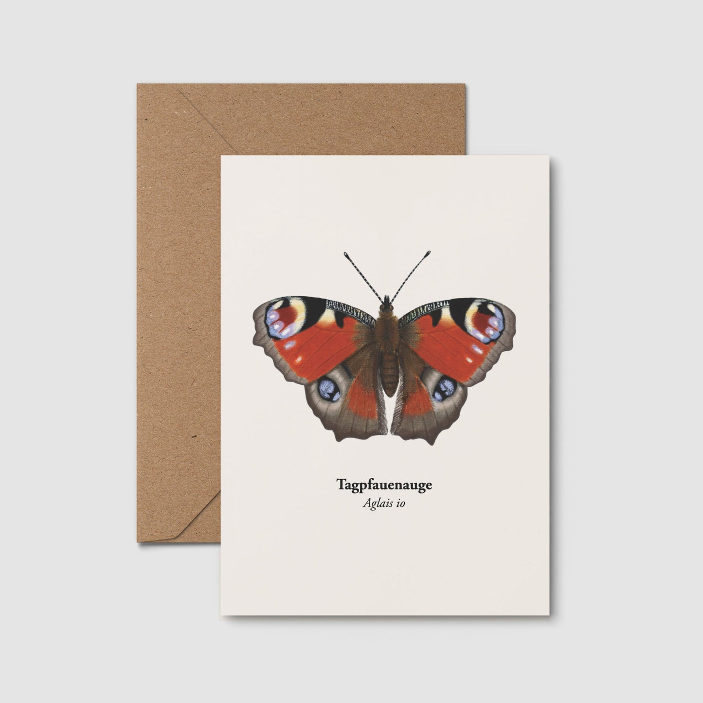 Postkarte Tagpfauenauge mit Beerenzweig auf hellem Hintergrund