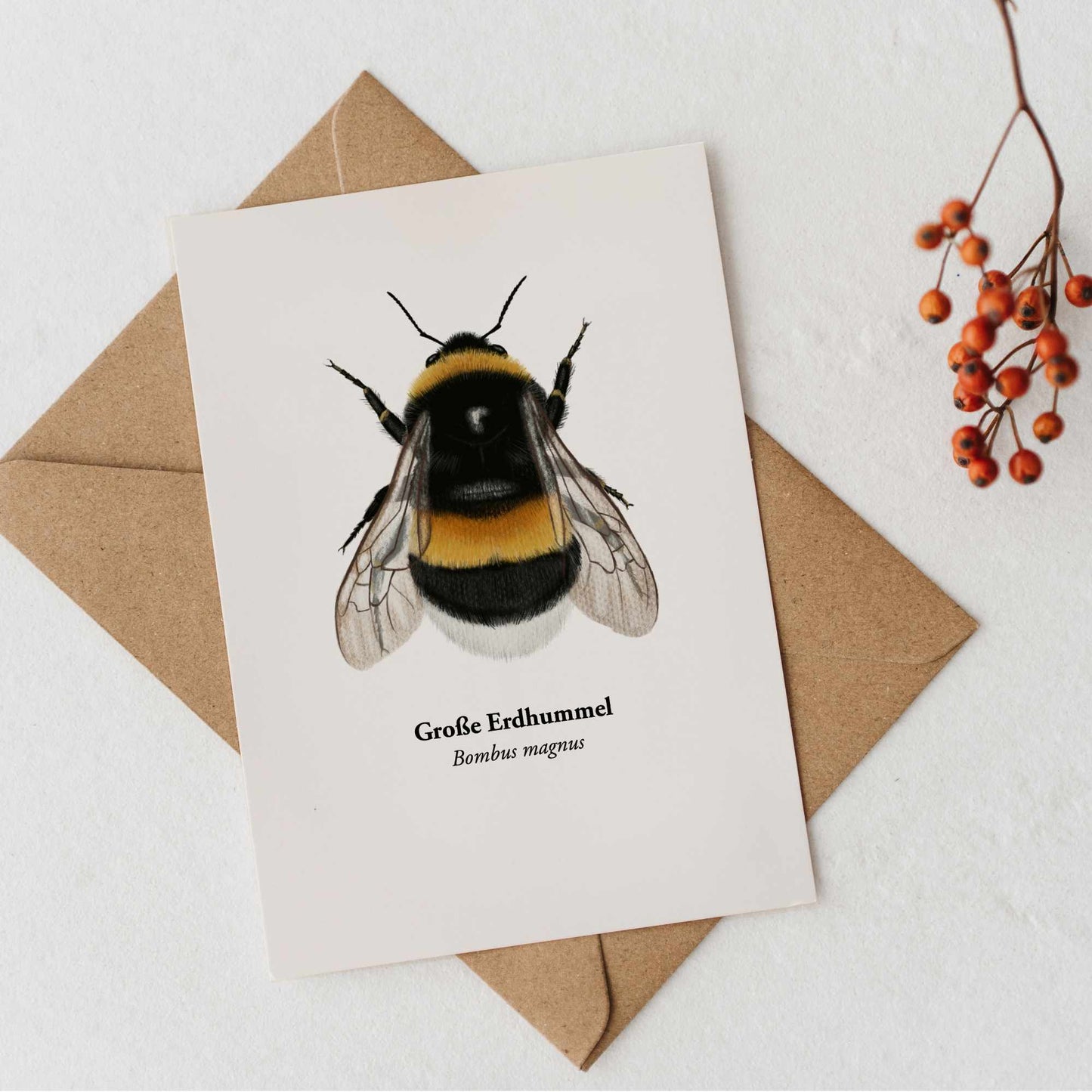 Detailreich illustrierte Hummel auf hochwertiger DIN A6 Postkarte