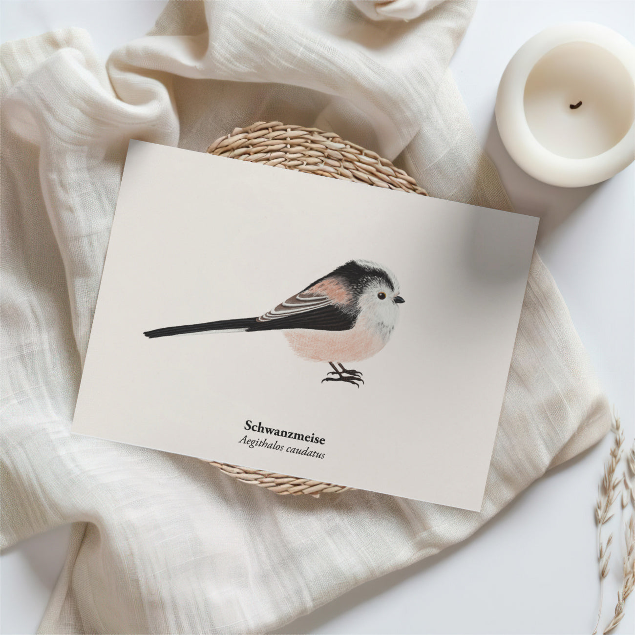 Vogelillustration der Schwanzmeise auf naturweißem Papier – dekorativer Mini-Kunstdruck.