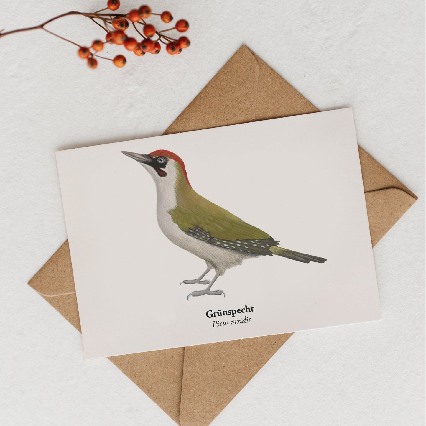 Grünspecht Kunstpostkarte A6 – Picus viridis Zeichnung