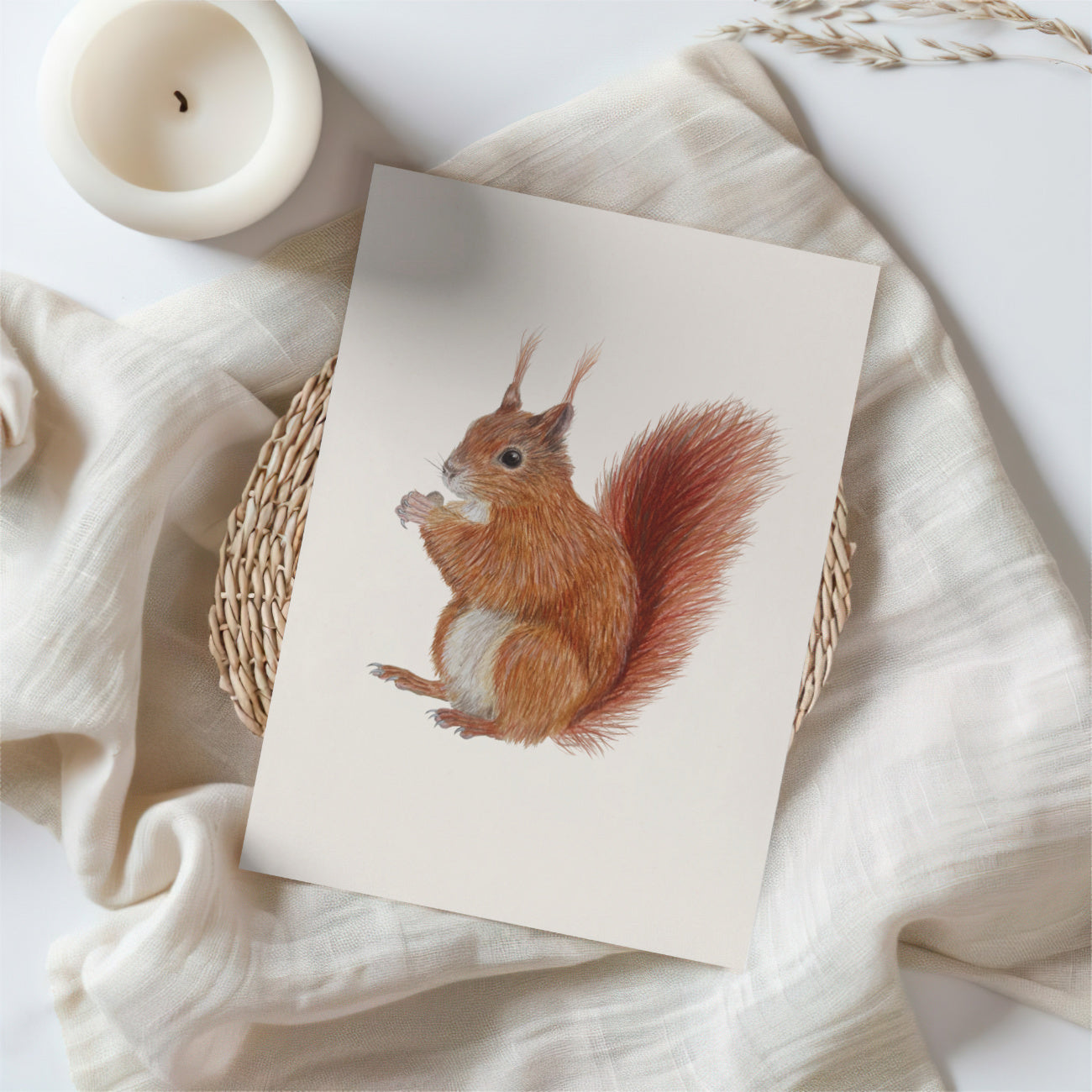 Postkarte mit Eichhörnchen Illustration