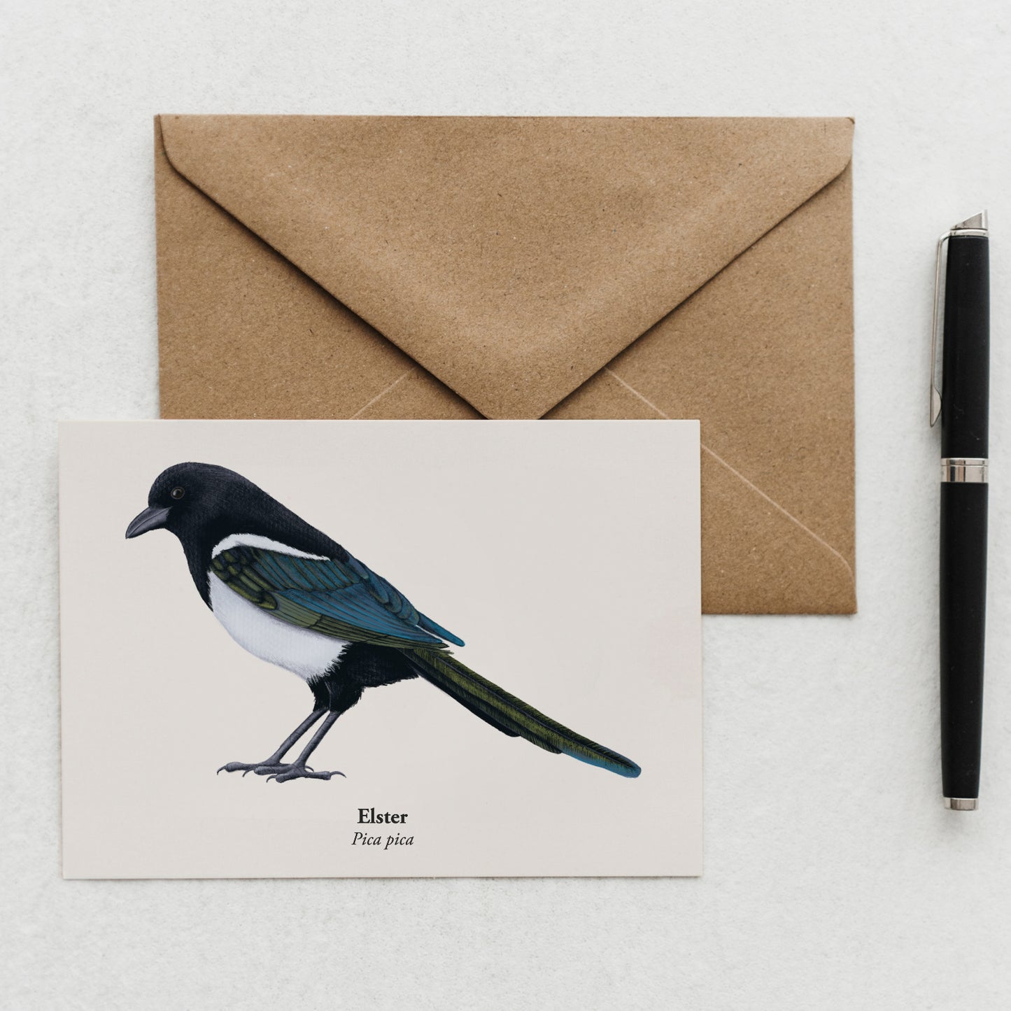 Elster Postkarte mit Kraftpapierumschlag fotografiert