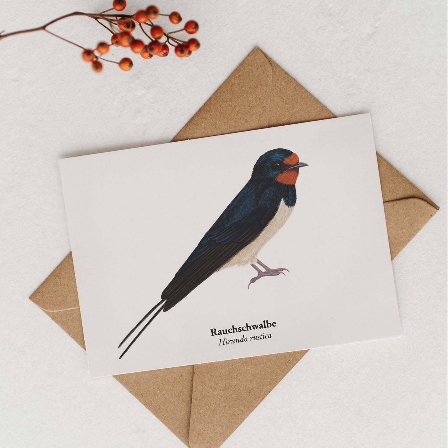 Detailreiche Zeichnung der Rauchschwalbe (Hirundo rustica) mit rotem Kehlfleck – Vogelillustration für Postkarte oder Print