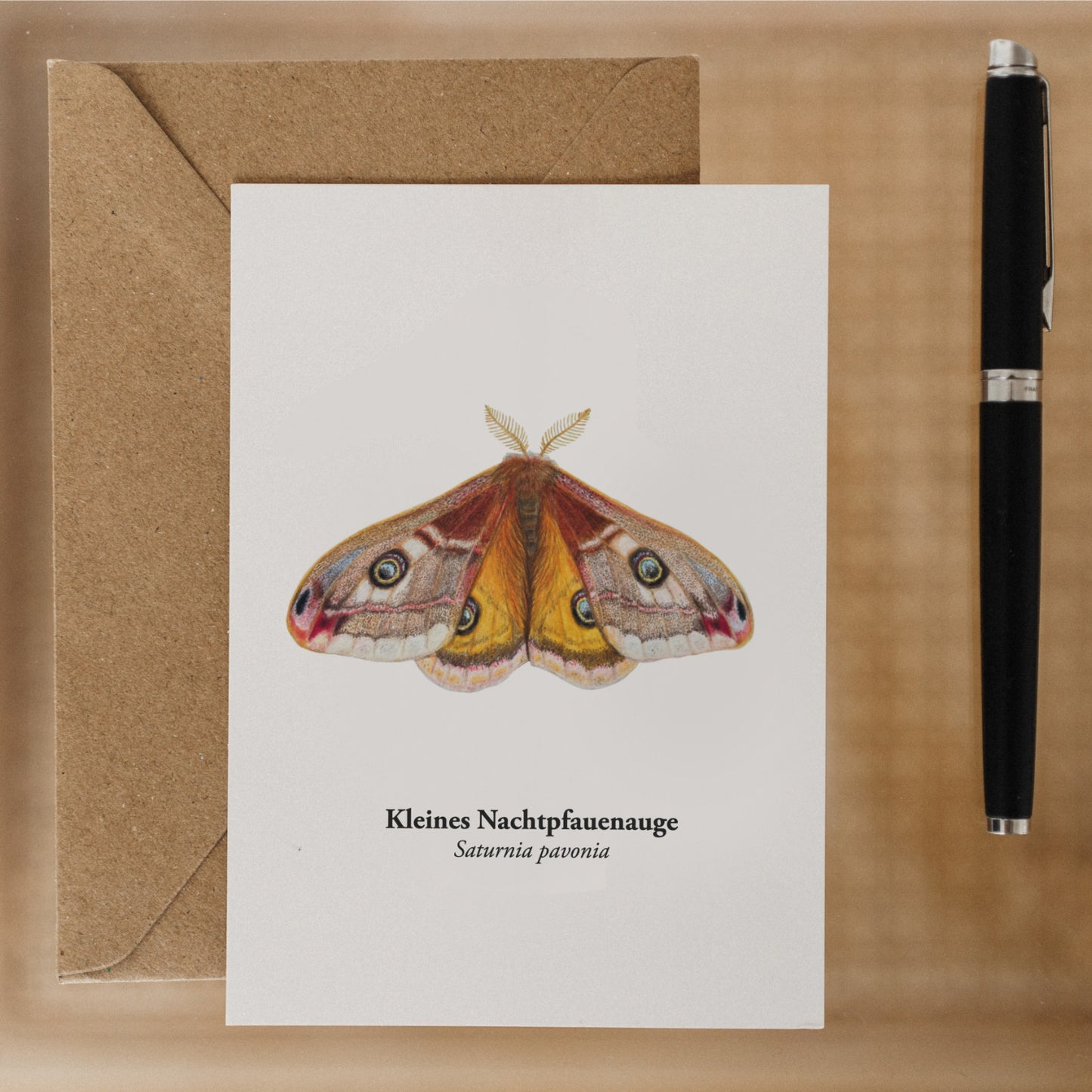 Postkarte Nachtpfauenauge (Saturnia pavonia) auf Kraftumschlag