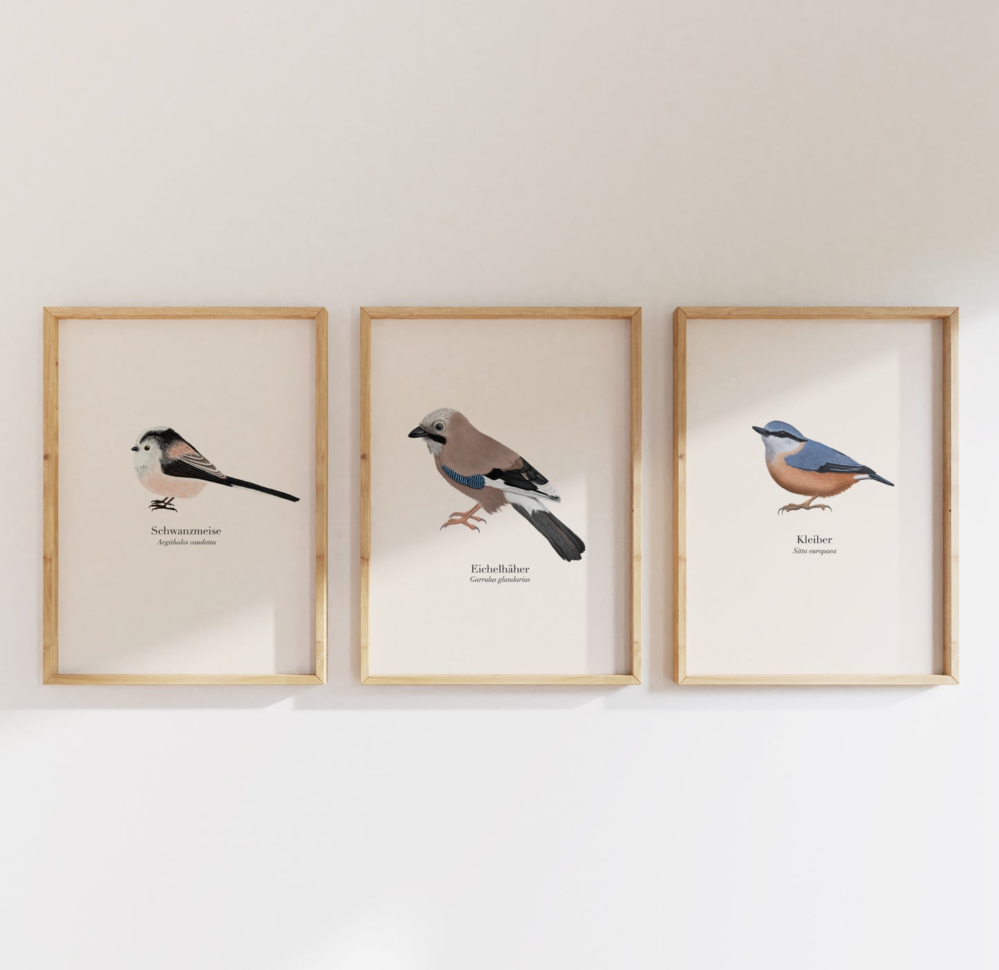 3er Poster Set heimische Vögel – Natur Poster mit Auswahl aus 22 Arten, personalisierbar & optional gerahmt