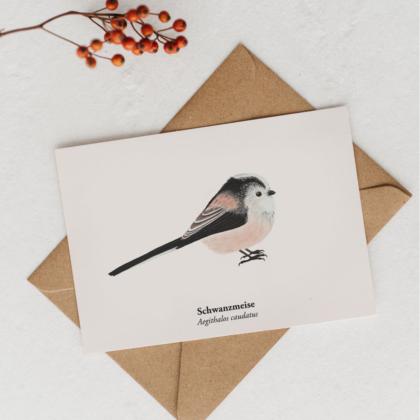 Nahaufnahme der Schwanzmeise Postkarte in natürlicher Umgebung mit Lichtspiel.