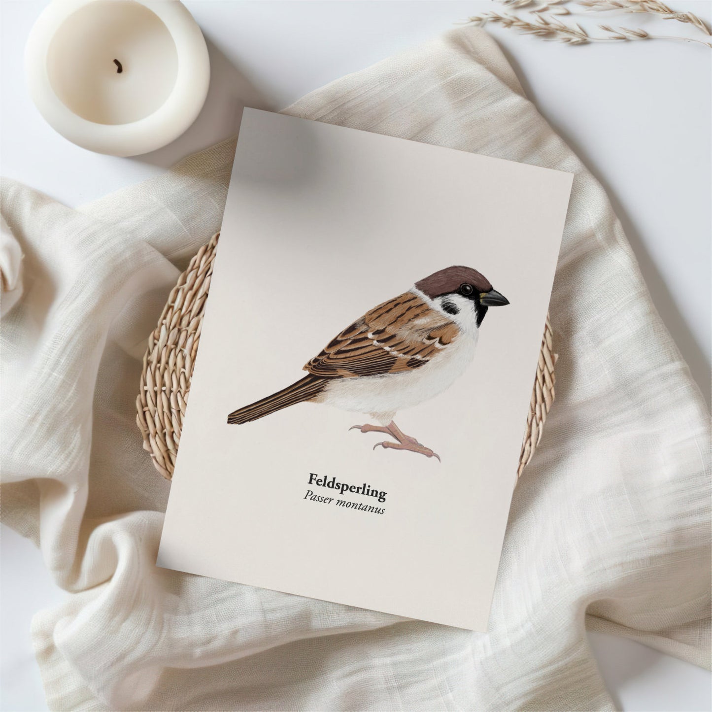 Spatz Postkarte – Illustration des Feldsperlings (Passer montanus)