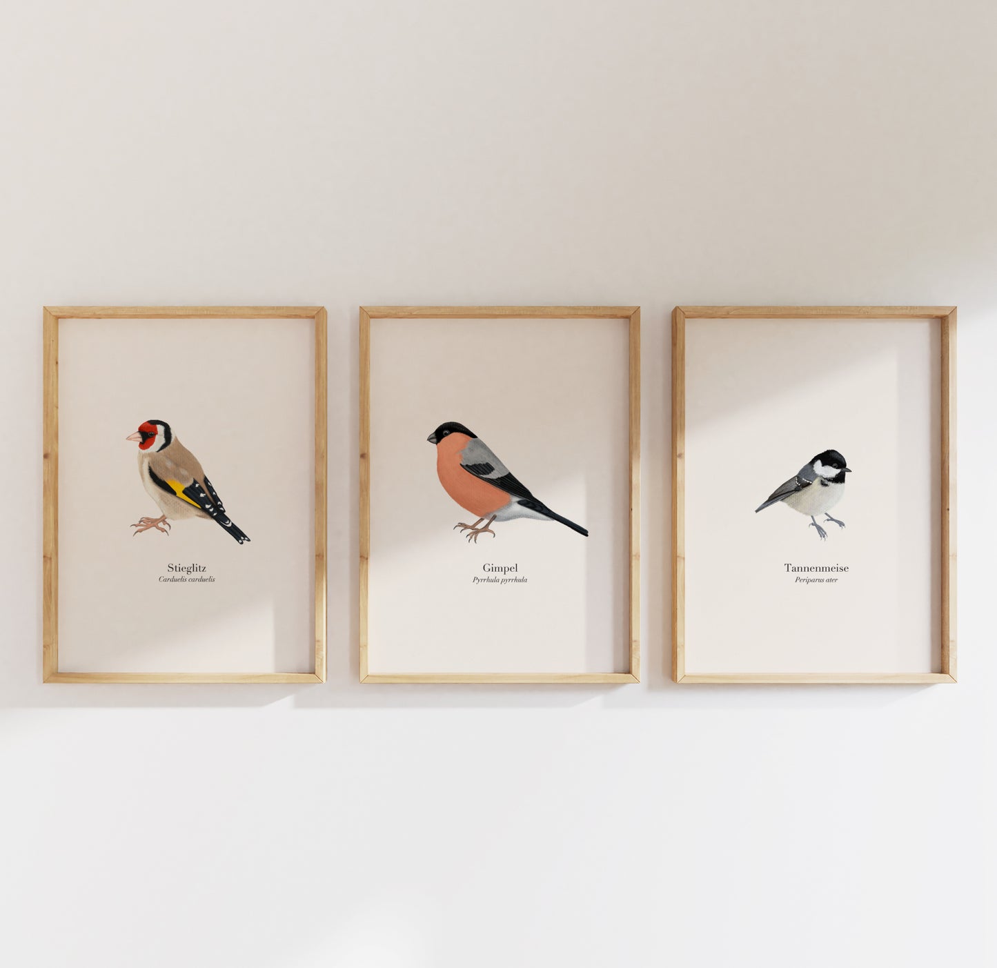 3er Poster Set heimische Vögel – Natur Poster mit Auswahl aus 22 Arten, personalisierbar & optional gerahmt
