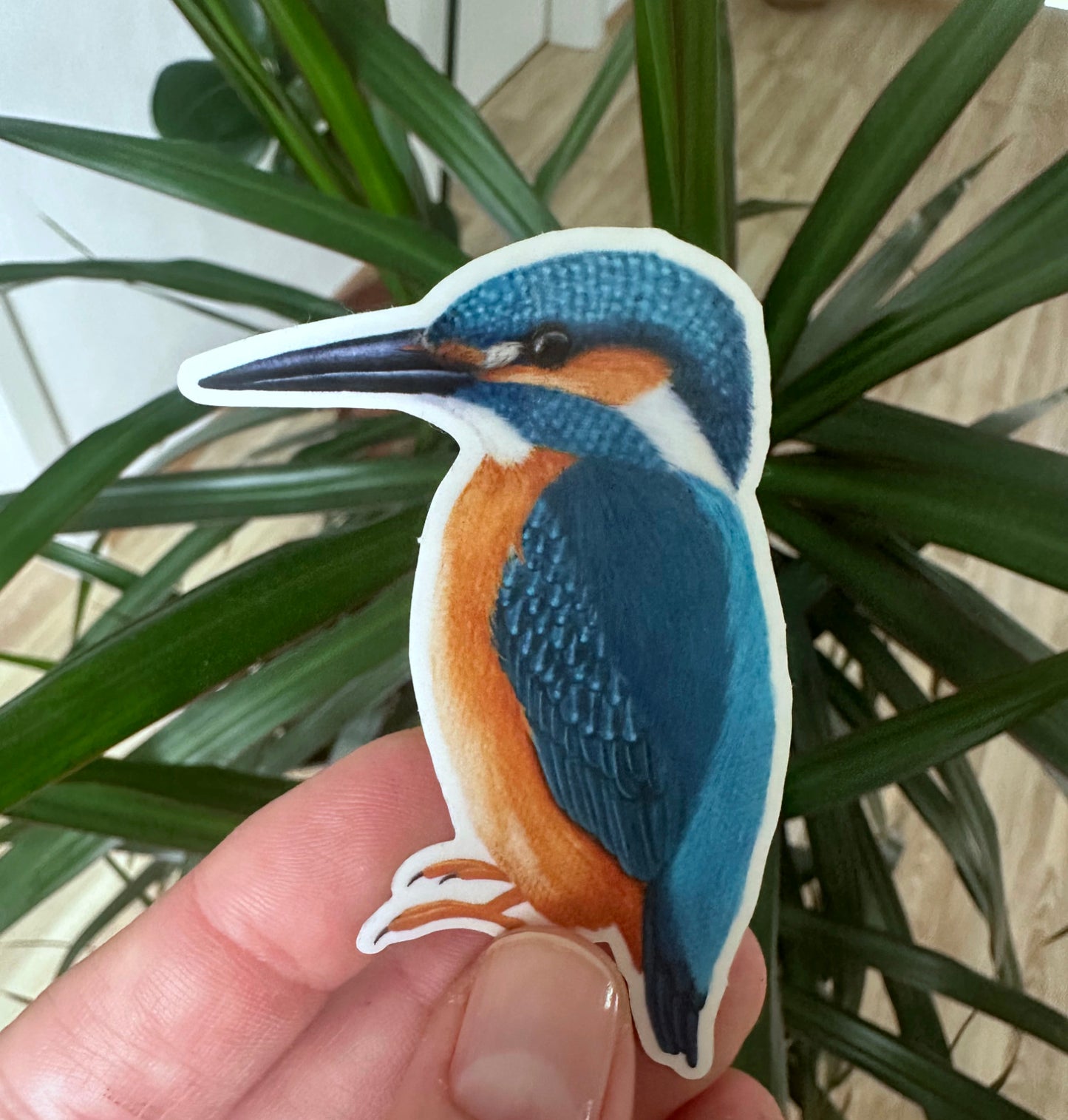 Kleine Illustration des Eisvogels als handgezeichneter Sticker