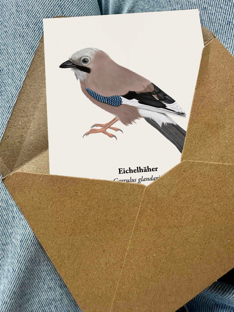 Eichelhäher Postkarte im Kraftpapierumschlag, Naturpostkarte Vogel Illustration DIN A6