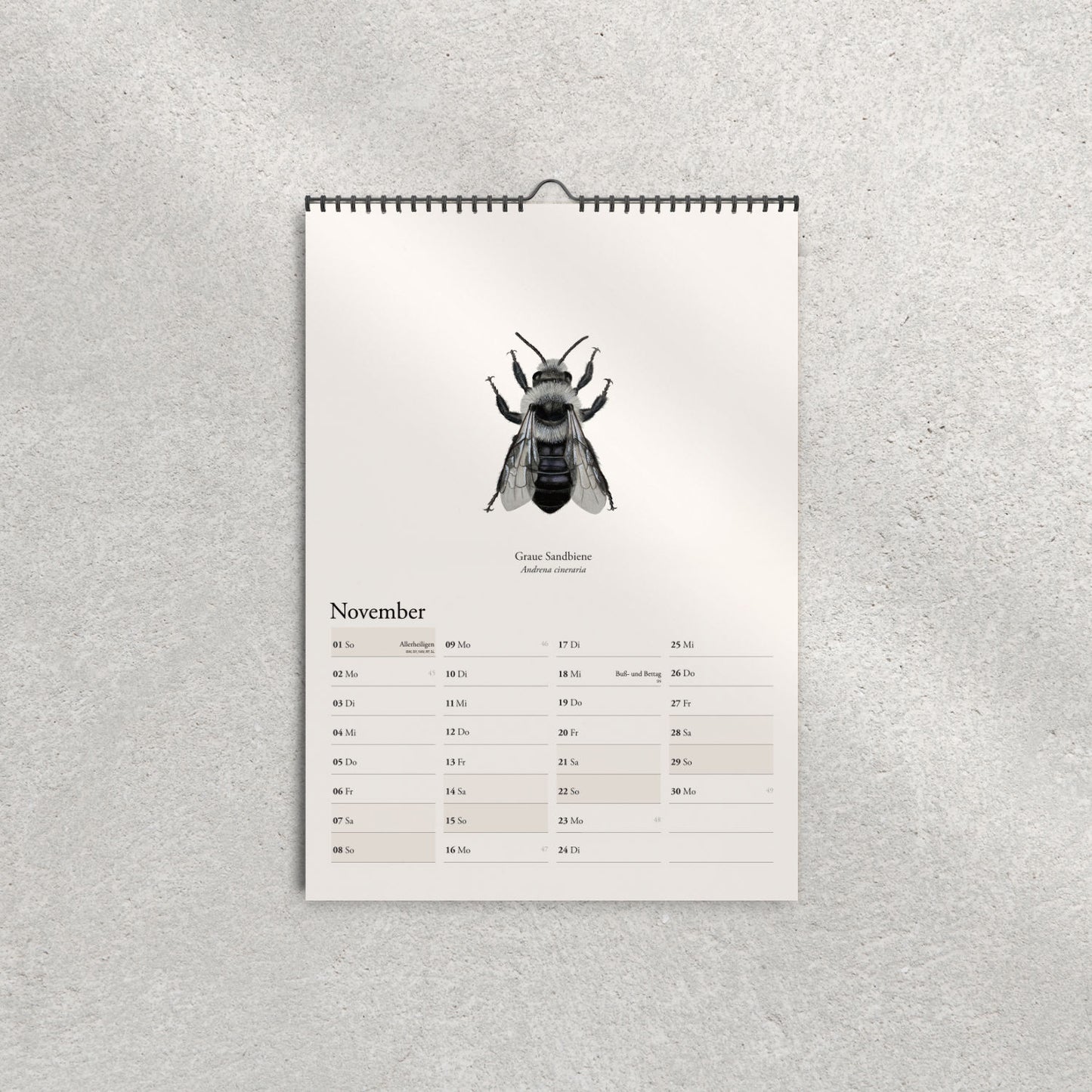 Bienenkalender 2026 – Wandkalender mit Illustrationen heimischer Wildbienen