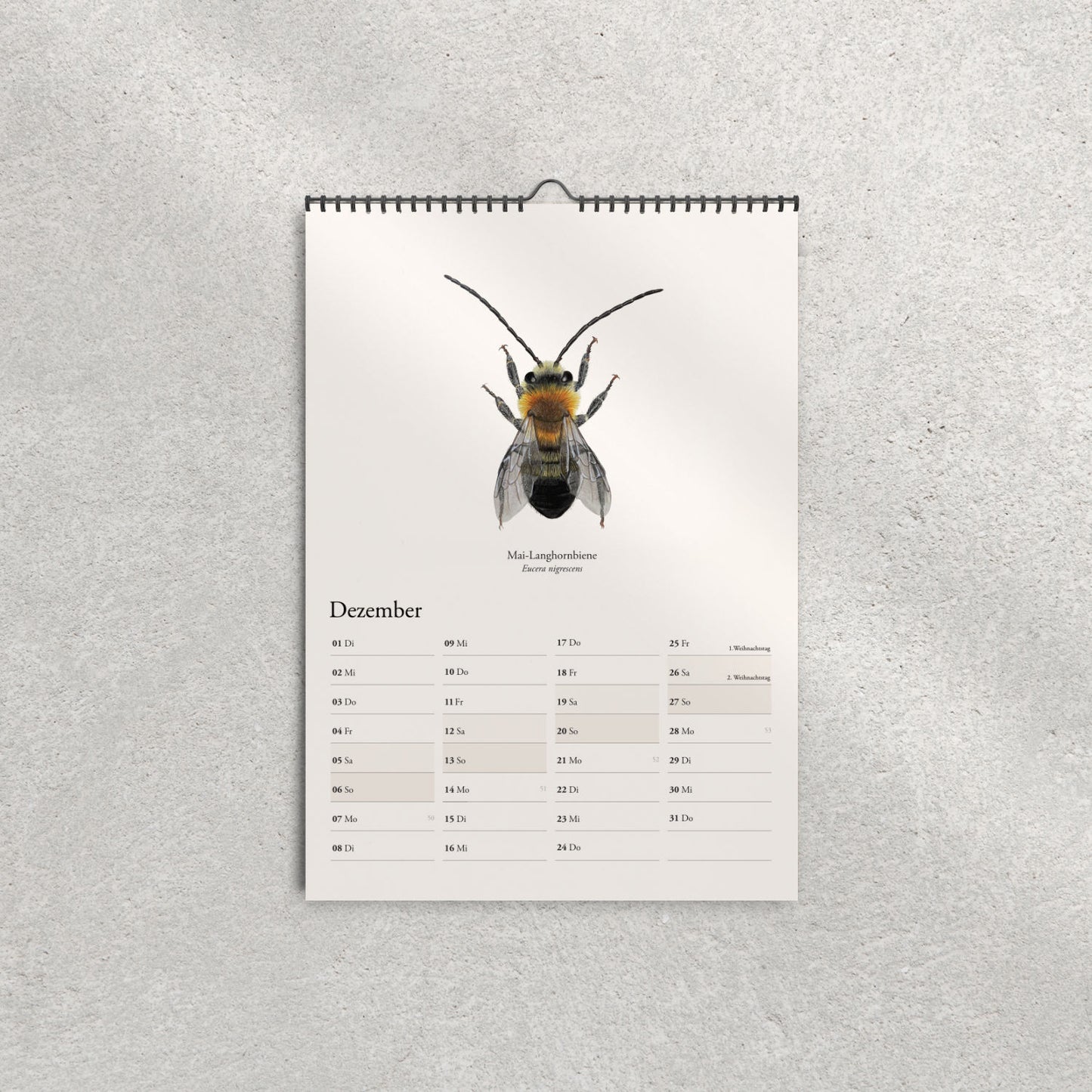 Bienenkalender 2026 – Wandkalender mit Illustrationen heimischer Wildbienen