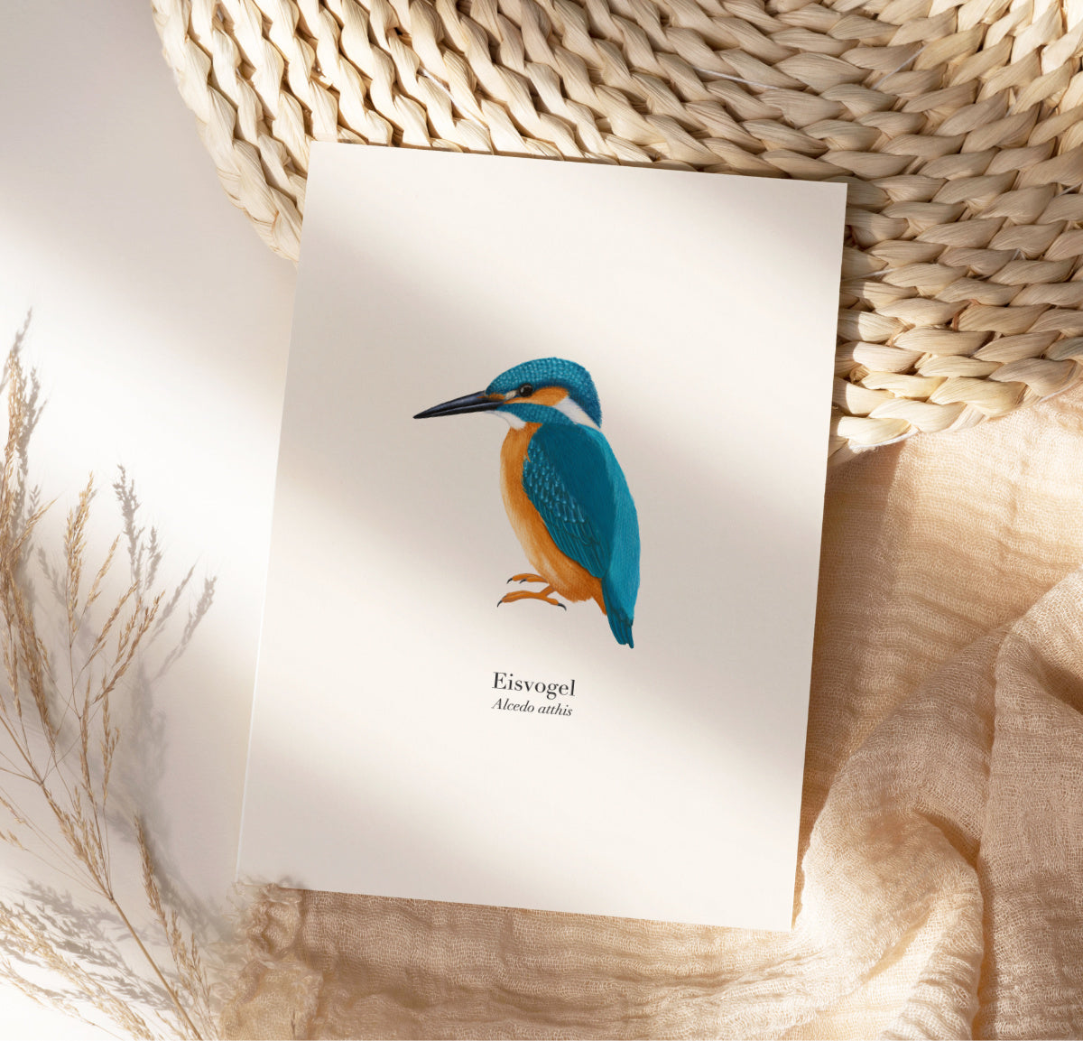 Nahaufnahme der Eisvogel Illustration als ungerahmter Kunstdruck auf Naturpapier