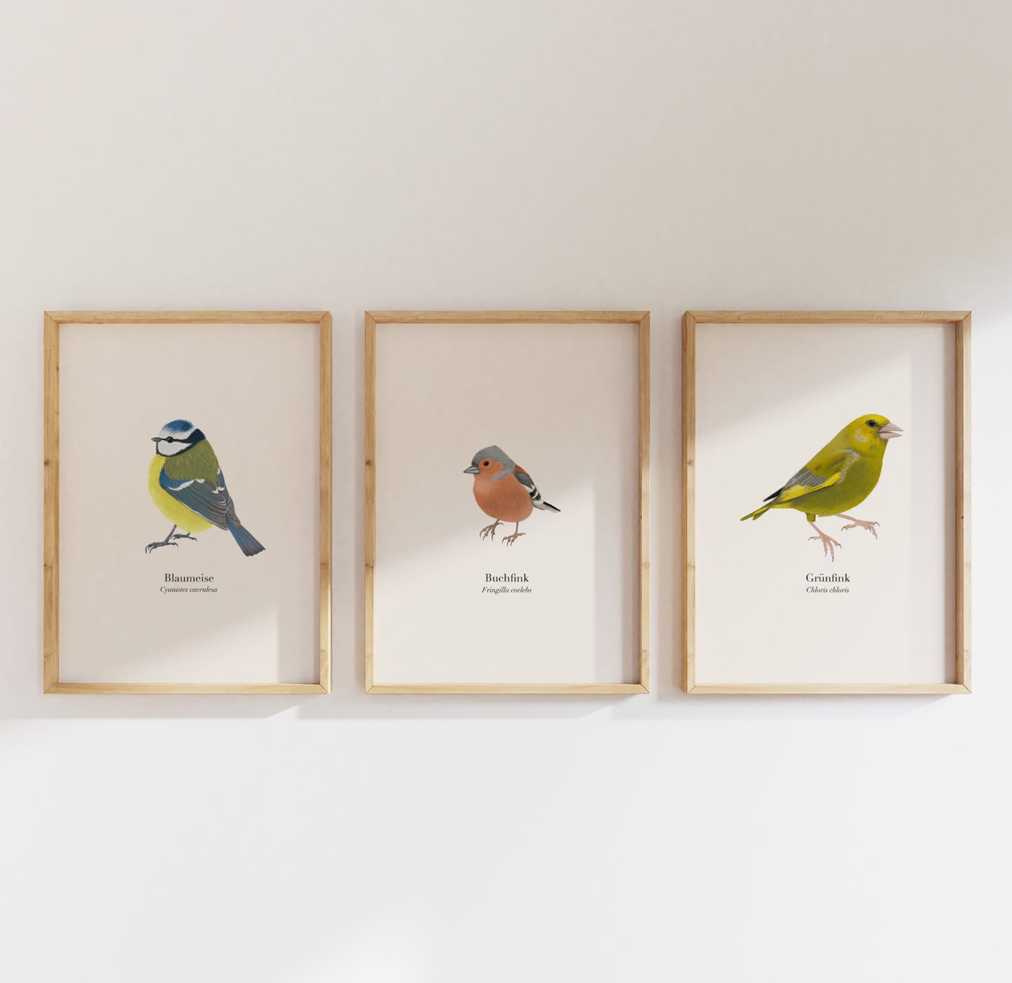 3er Poster Set heimische Vögel – Natur Poster mit Auswahl aus 22 Arten, personalisierbar & optional gerahmt