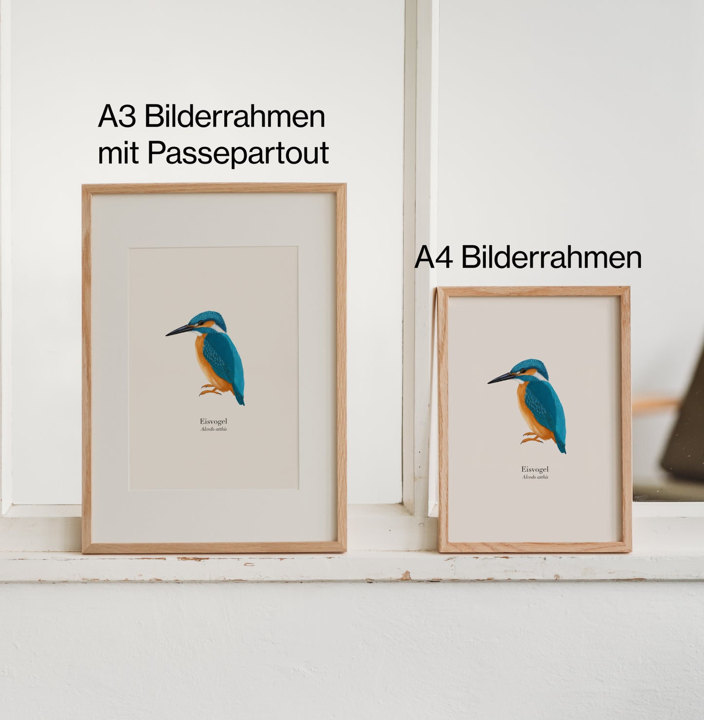 Zwei Eisvogel Poster in A4 und A3 im Holzrahmen mit und ohne Passepartout